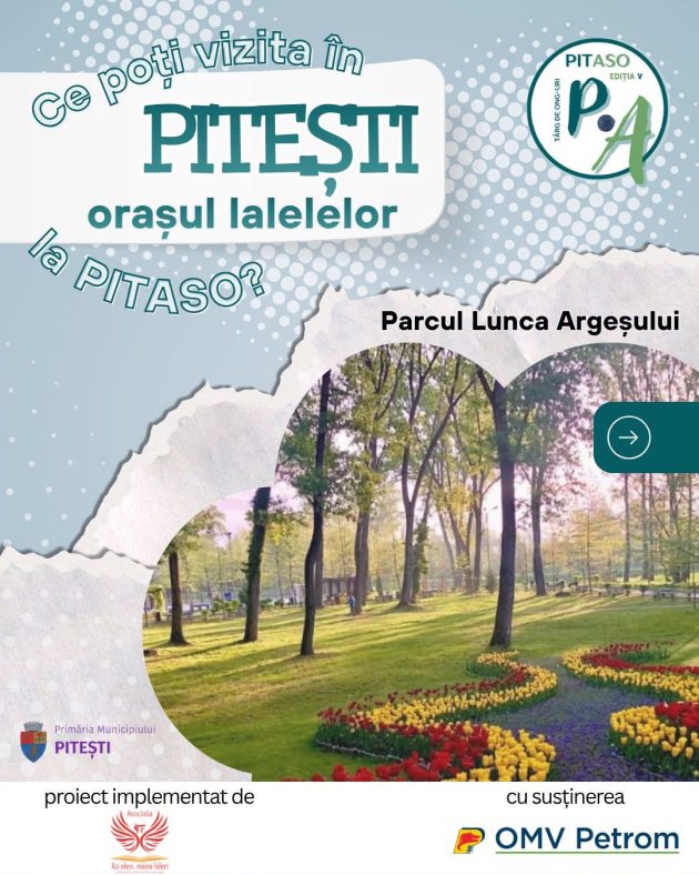 Piteștiul găzduiește cea de-a cincea ediție a PITASO 2 PITASO V