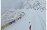 zapada Argeș dezapezire