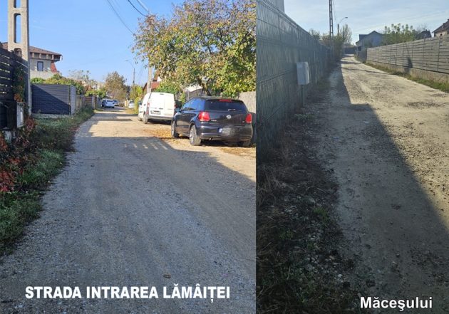 deschidedre intrarea lamaitei si macesului Sursă foto: Primaria Municipiului Pitești