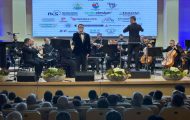 Gala Excelentei Argesene