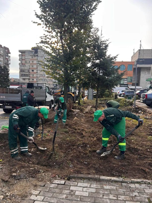 lucrări Salpitflor Green pasajul Magnolia