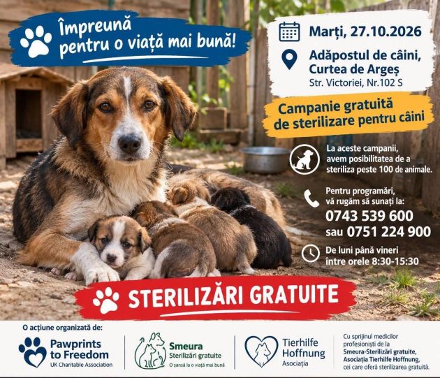O nouă campanie gratuită de sterilizare a câinilor, la Curtea de Argeș!