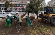 lucrări Salpitflor Green pasajul Magnolia