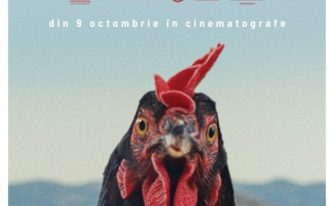 film cinema Pitesti