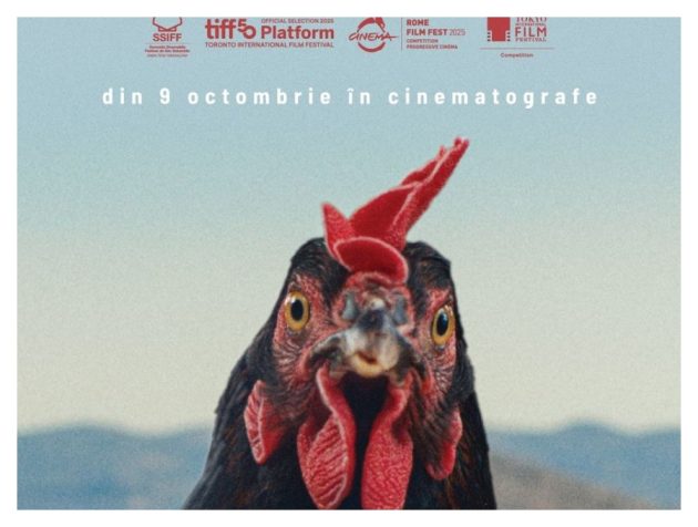 film cinema Pitesti film cinema Pitesti